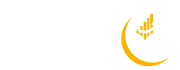 VIVENDO DE RENDA (Capa para Facebook) (1)